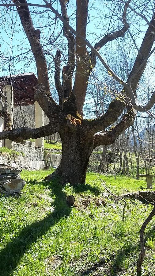 דירות אצ'ליו La Casa Del Gigante Frassino מראה חיצוני תמונה
