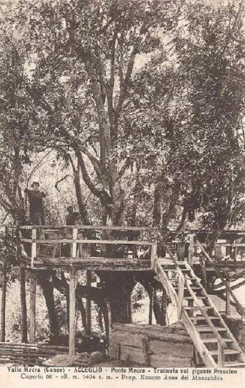 דירות אצ'ליו La Casa Del Gigante Frassino מראה חיצוני תמונה