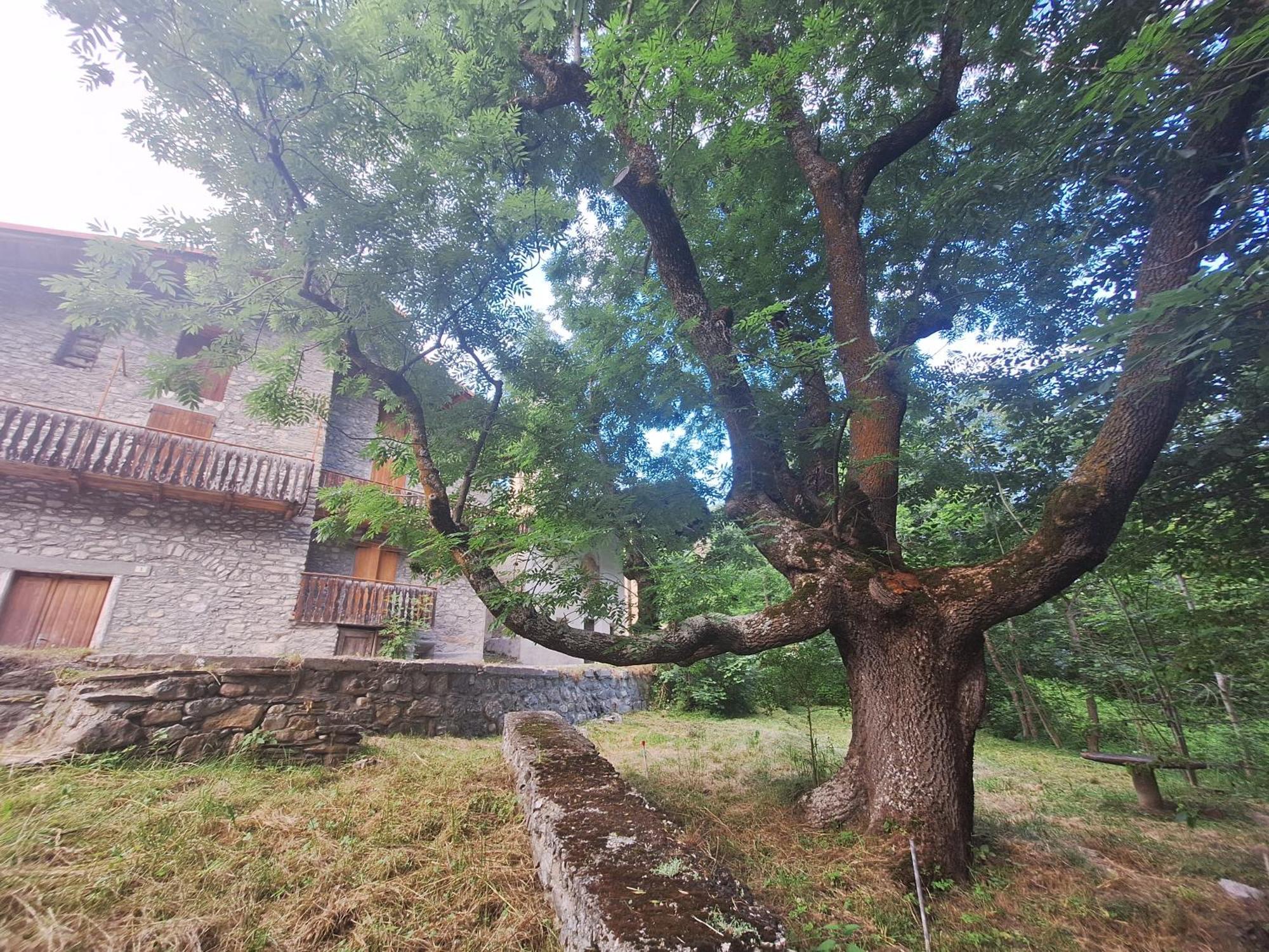 דירות אצ'ליו La Casa Del Gigante Frassino מראה חיצוני תמונה